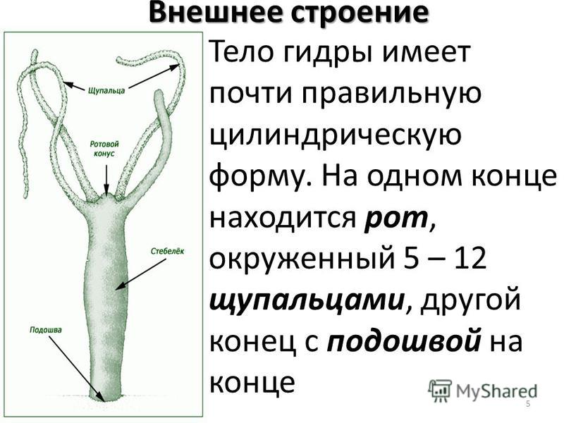 Регистрация на кракен